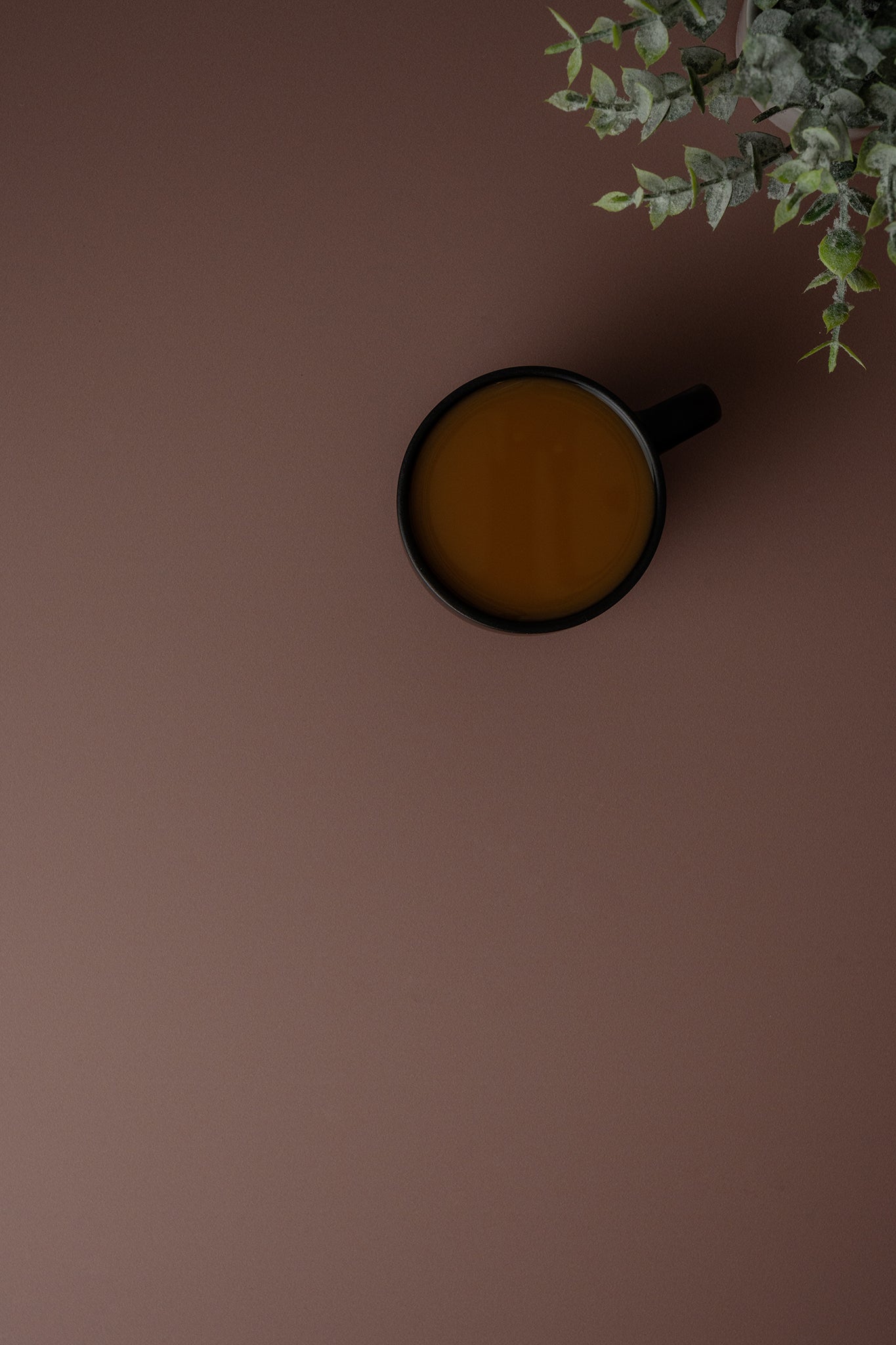 Backdrop "Cappuccino" – Brauner Fotohintergrund
