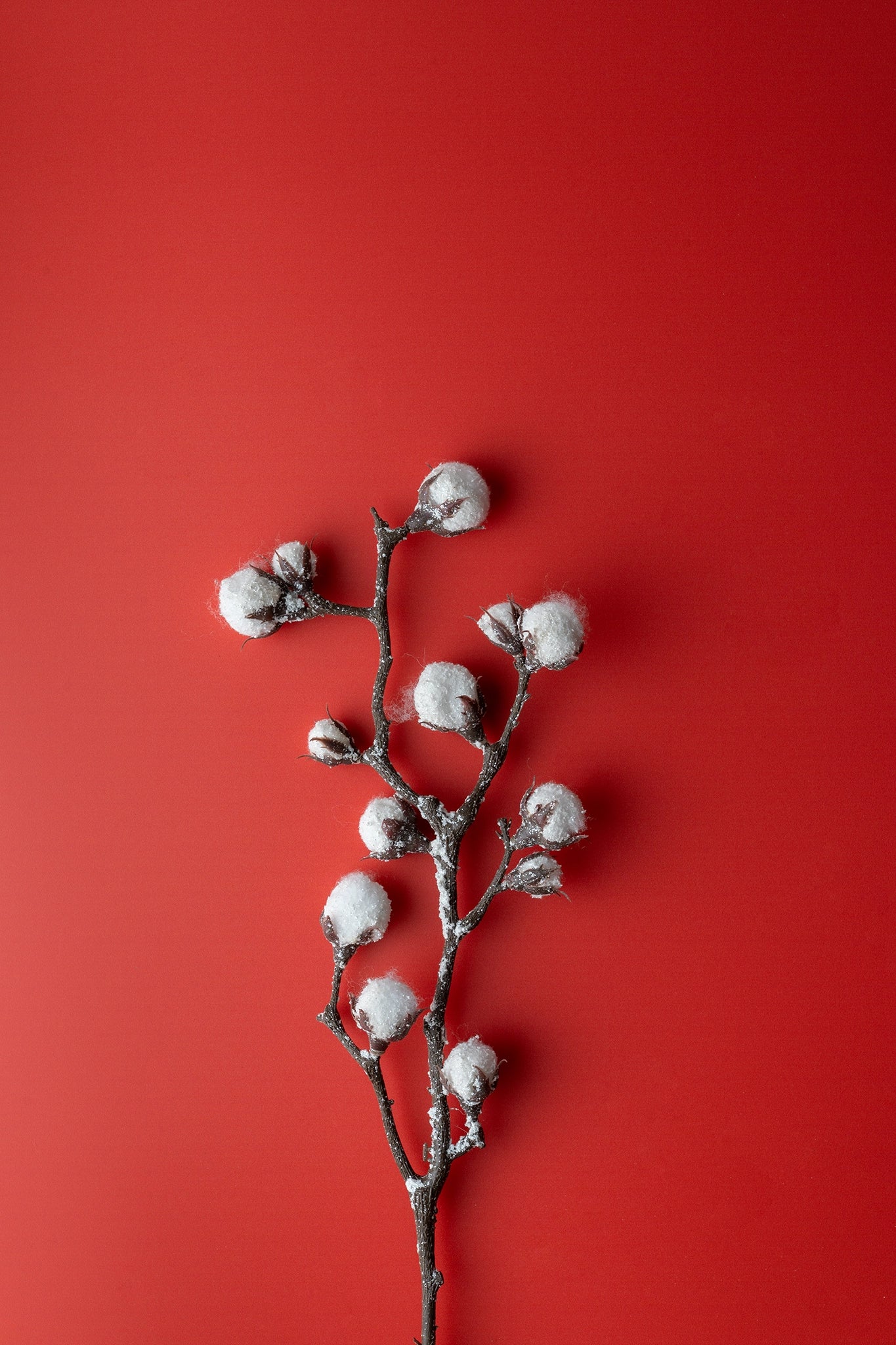 Backdrop „Kirsche“ – Dunkelroter Fotohintergrund