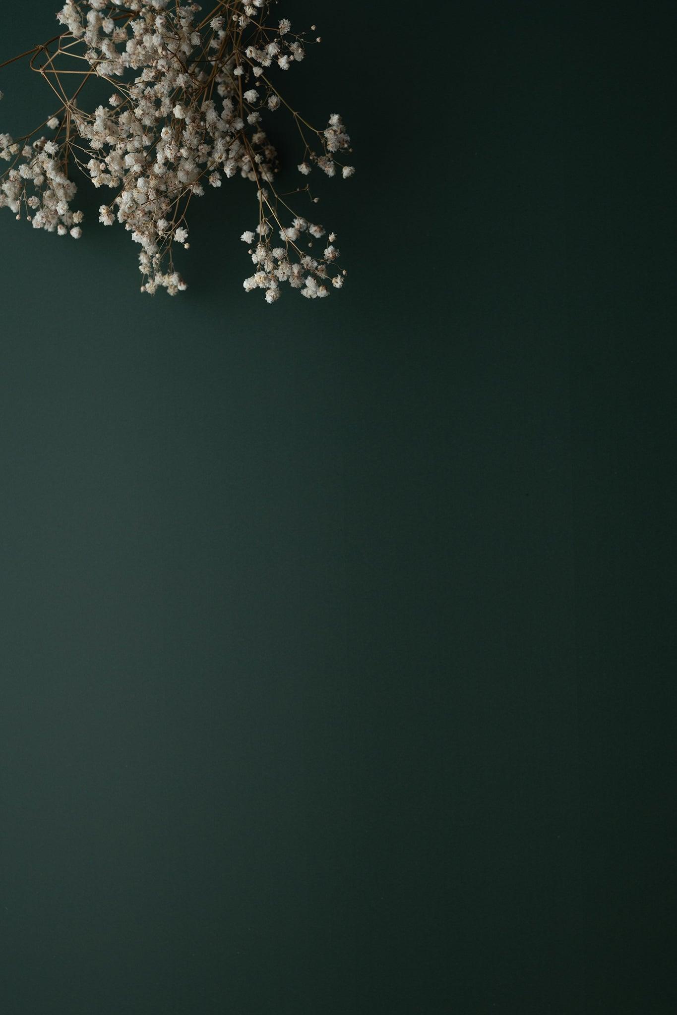 Backdrop „Kürbiskerne“ – Dunkelgrüner Fotohintergrund - BACKDROP SHOP