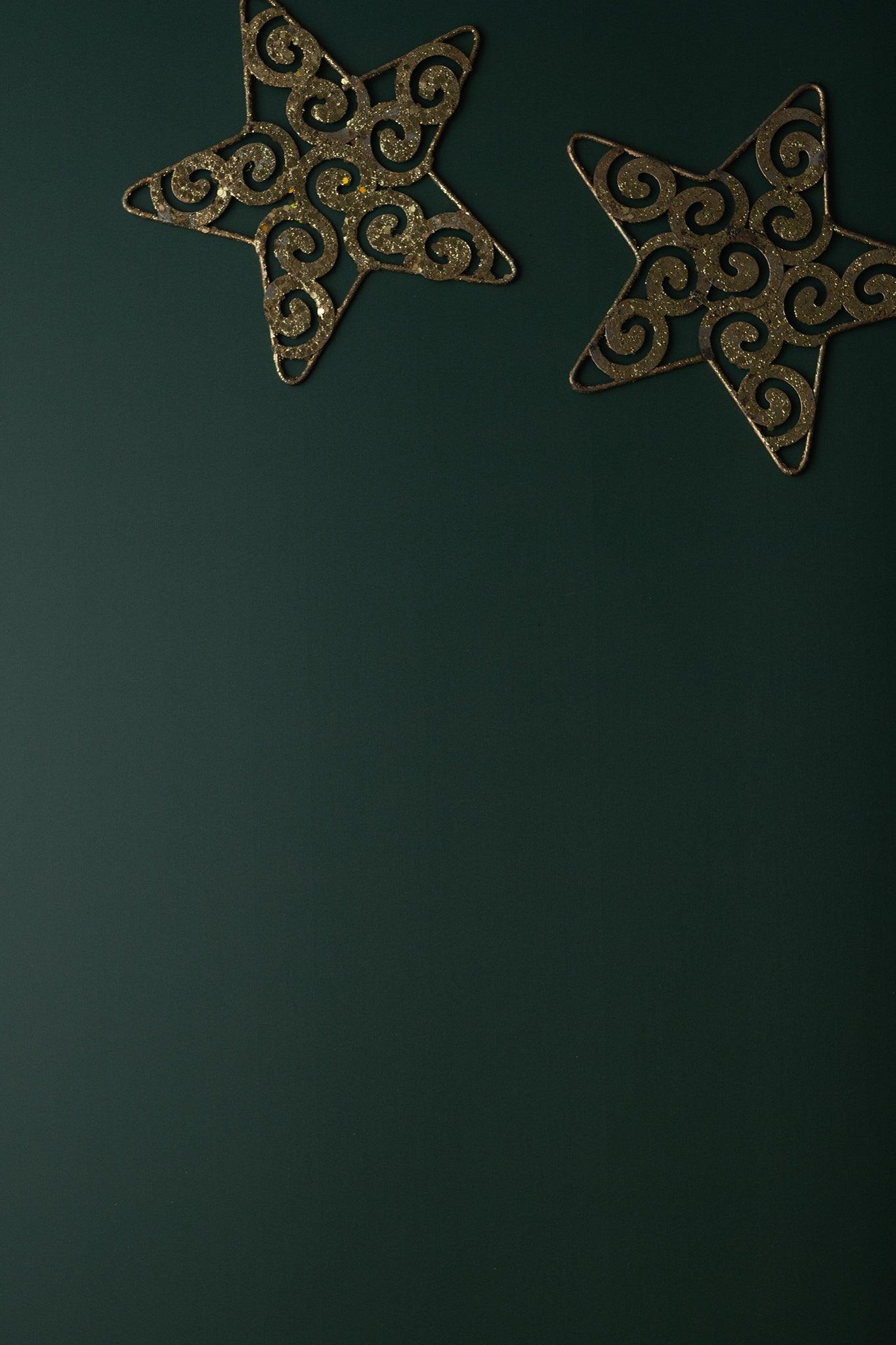 Backdrop „Kürbiskerne“ – Dunkelgrüner Fotohintergrund - BACKDROP SHOP