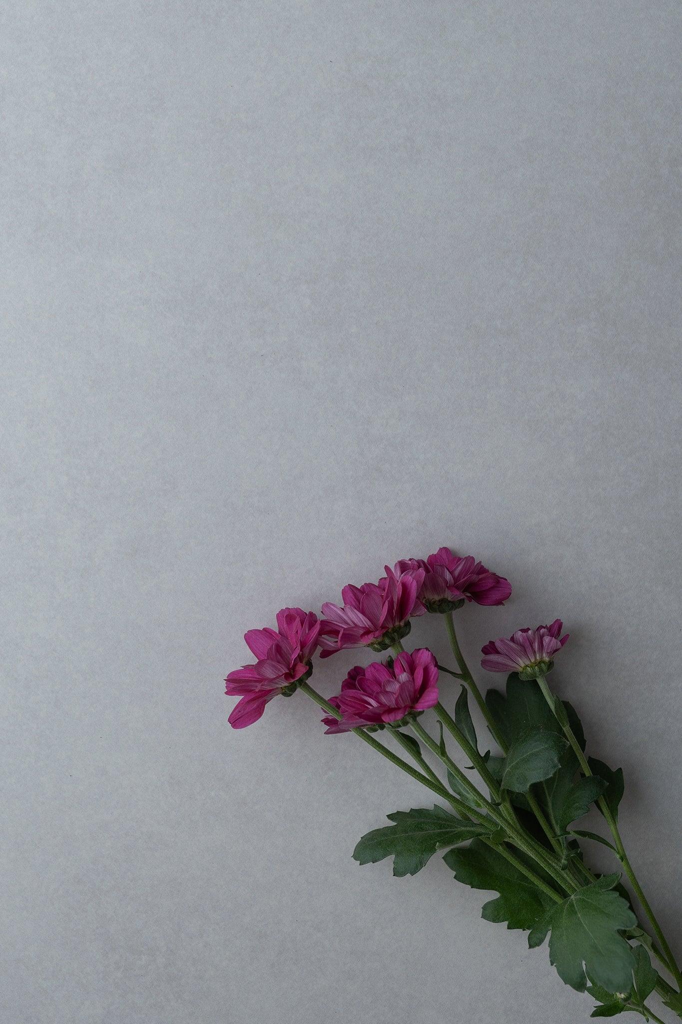 Backdrop „Tofu“ – Beiger Fotohintergrund - BACKDROP SHOP