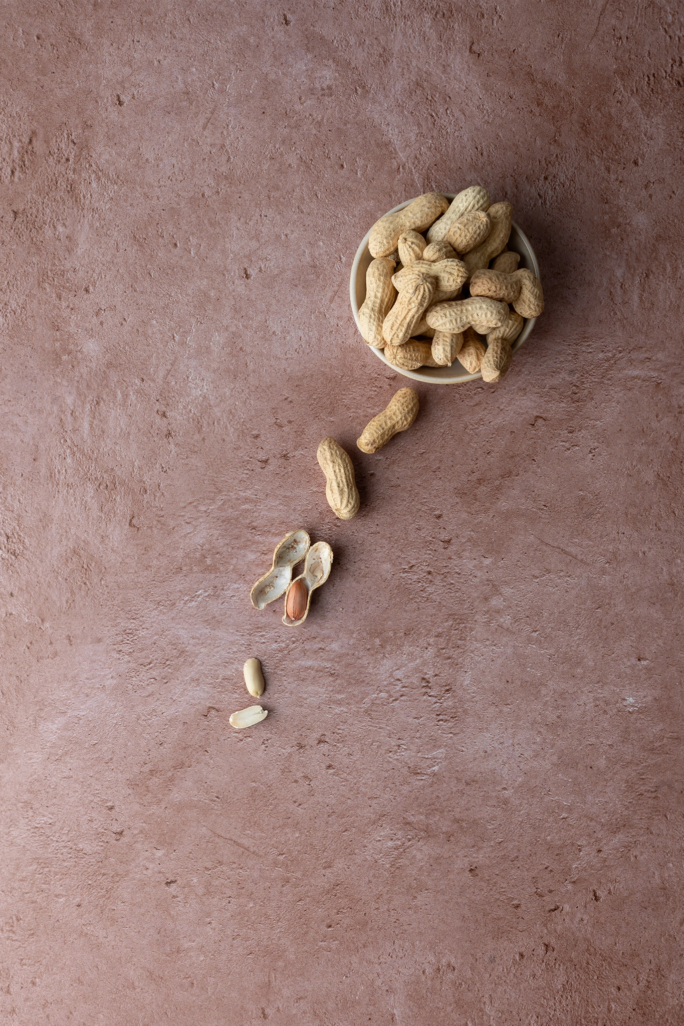 Foodfotografie Erdnüsse in Schale auf Backdrop „Zimt Porridge“ – warmer brauner Fotohintergrund von BACKDROP SHOP