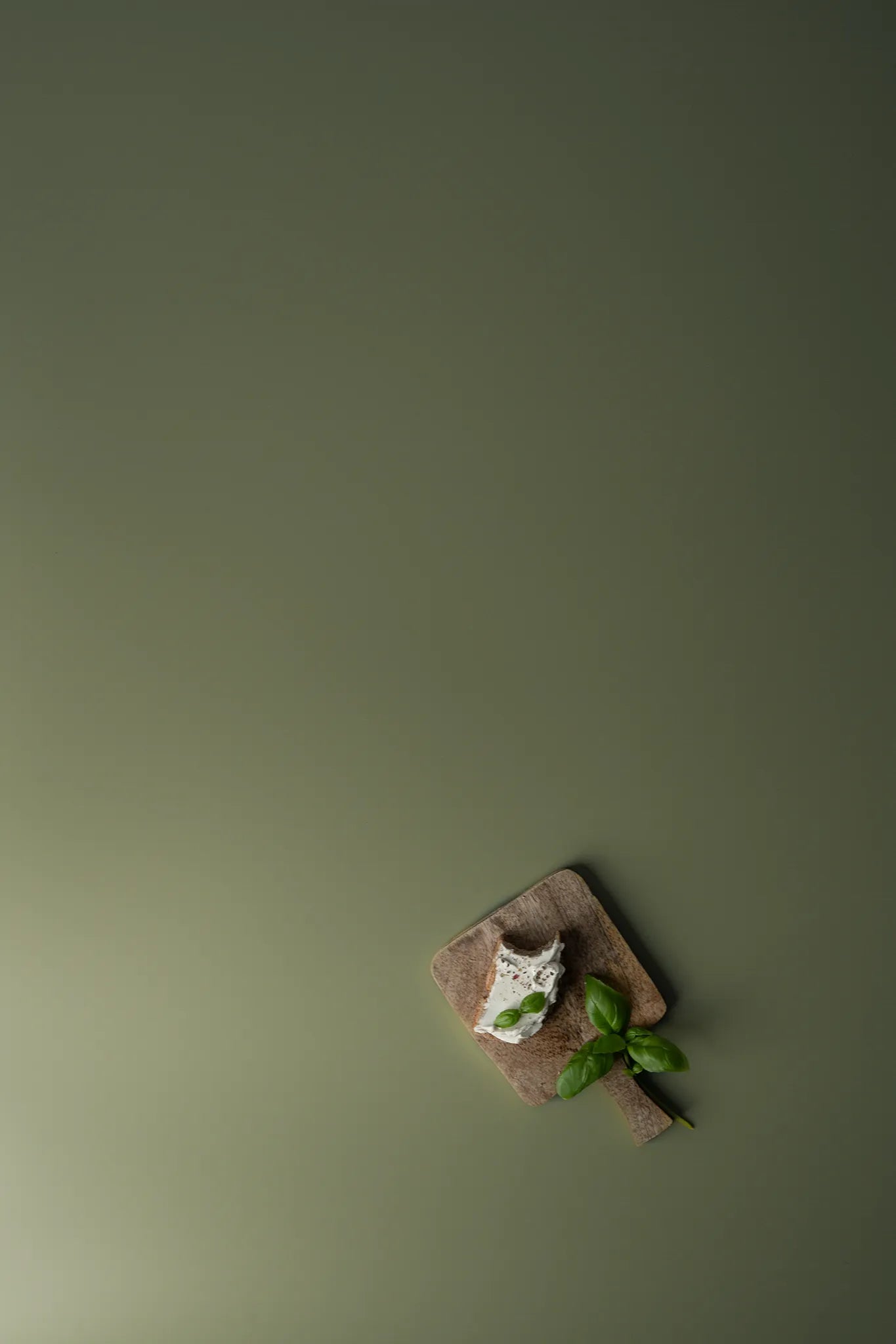 Backdrop „Khaki" – Grüner Fotohintergrund