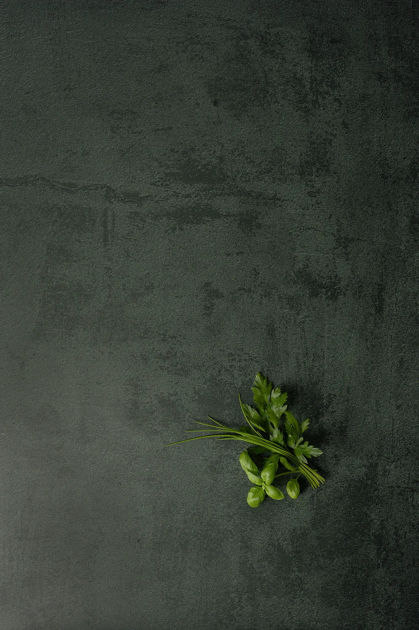 Foodfotografie Kräuterbündel auf Backdrop „Kohl“ – tiefes dunkelgrünes Fotohintergrund von BACKDROP SHOP