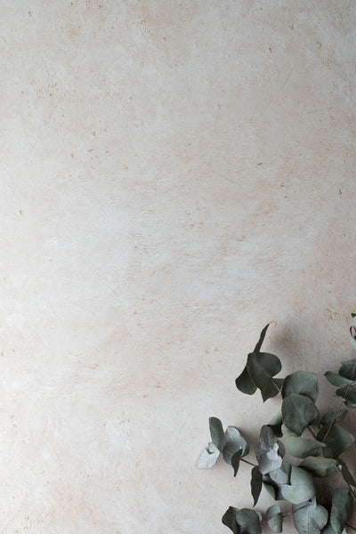 Detailaufnahme Druckbild Backdrop „Mandel Porridge“ – cremiger Beigeton von BACKDROP SHOP