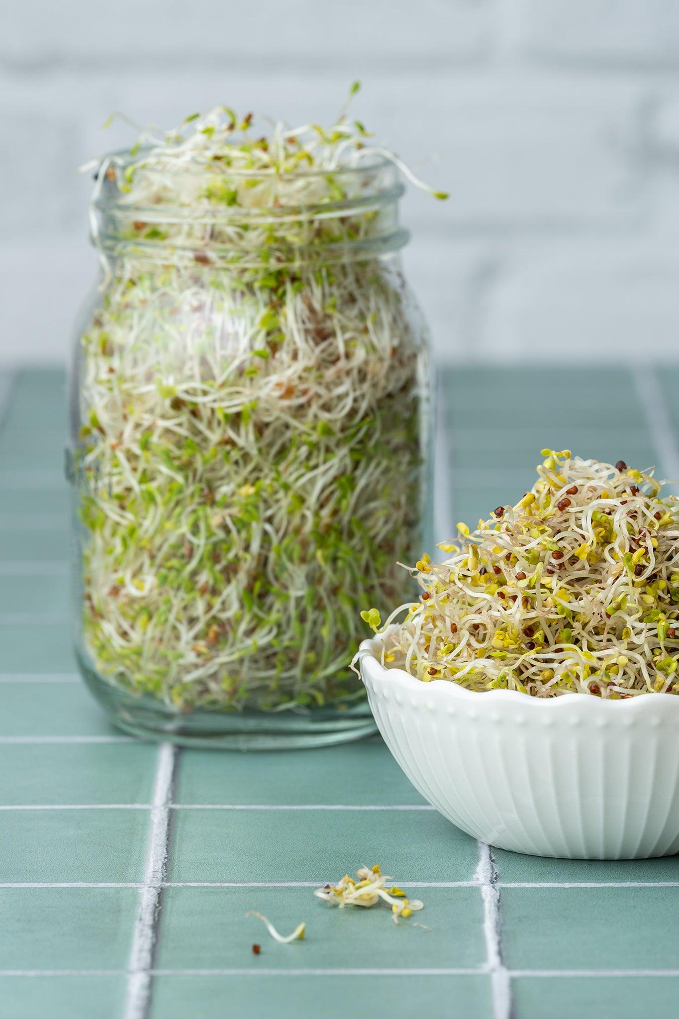 Foodfotografie Sprossen im Glas und weißer Schale auf Backdrop „Zucchini“ – salbeigrüne Fliesenoptik von BACKDROP SHOP